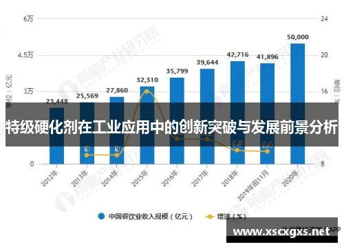 特级硬化剂在工业应用中的创新突破与发展前景分析